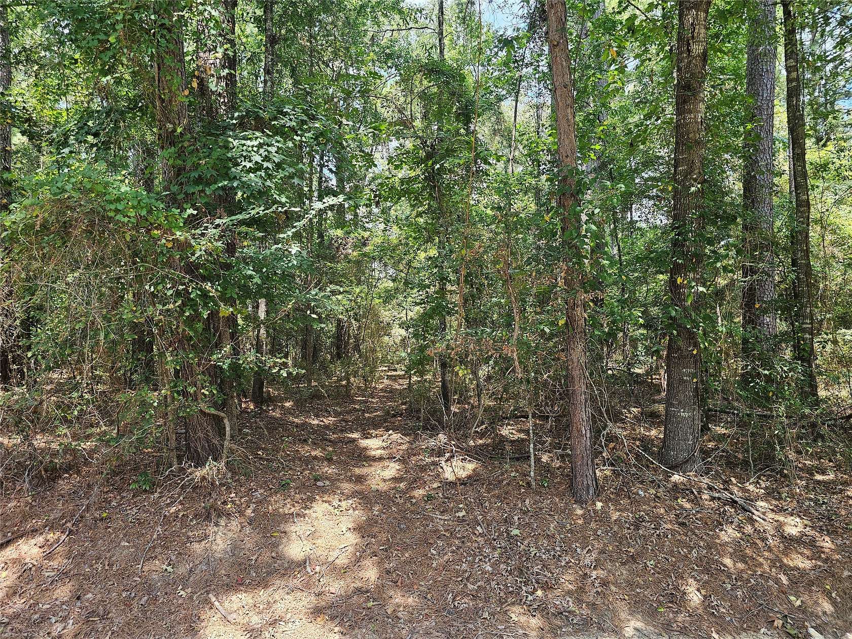 0.85 Acres of Residential Land for Sale in Greenwood, Louisiana