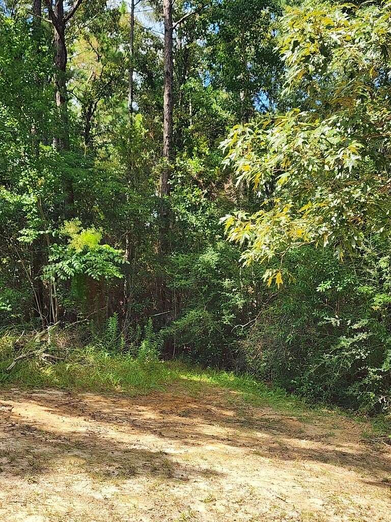 2 Acres of Land for Sale in Vancleave, Mississippi