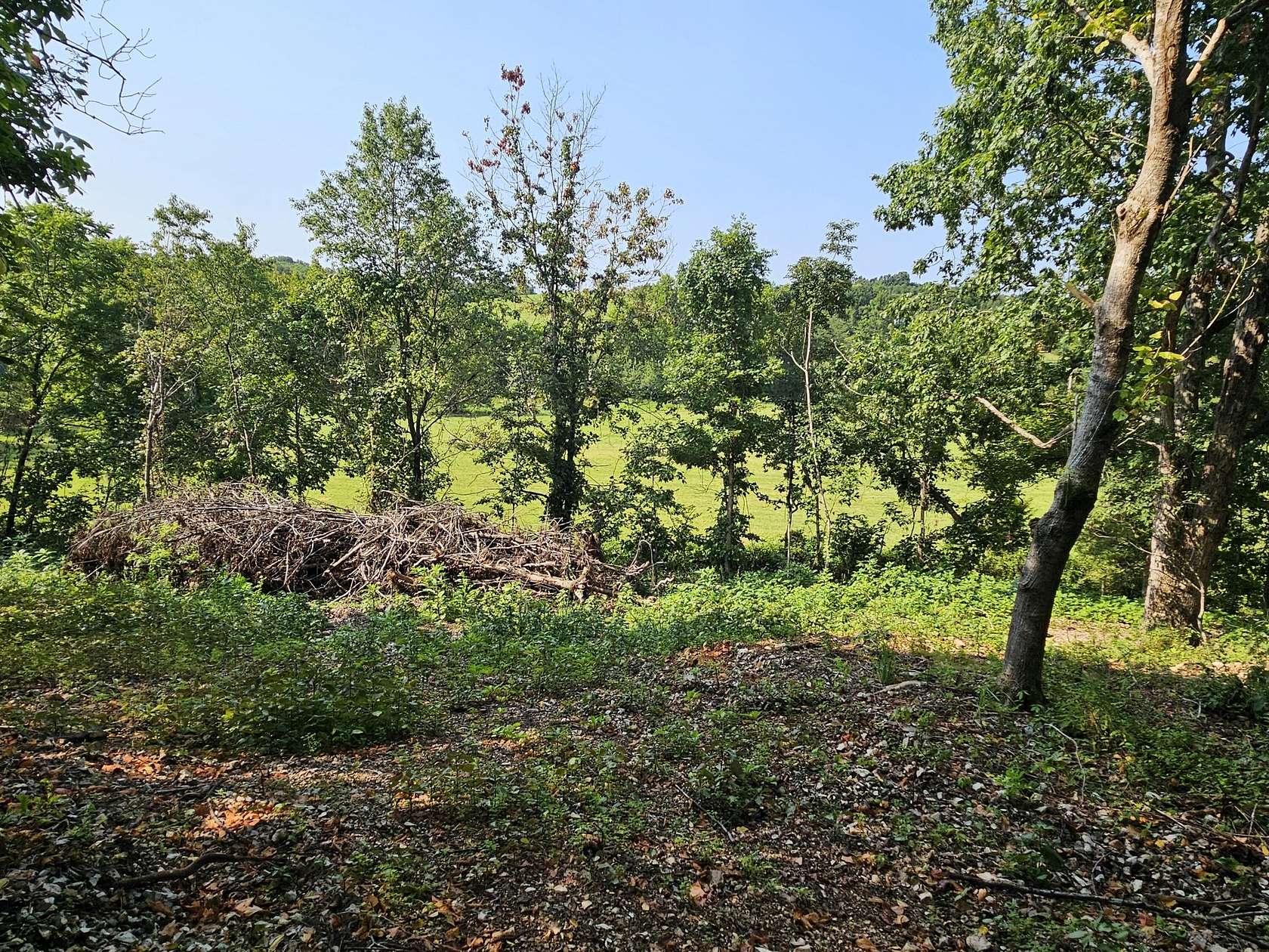 0.65 Acres of Land for Sale in Ozark, Missouri