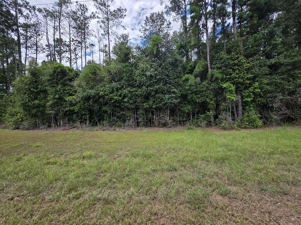 1 Acre of Residential Land for Sale in Georgetown, Georgia