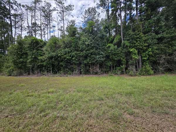 1 Acre of Residential Land for Sale in Georgetown, Georgia
