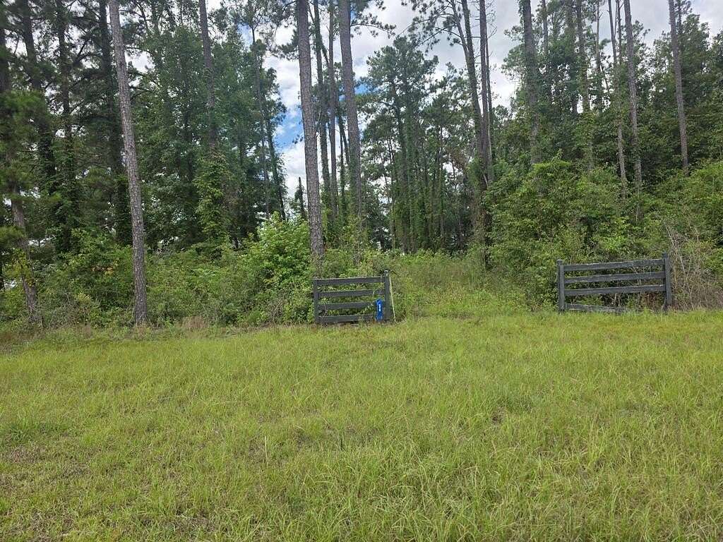 1 Acre of Residential Land for Sale in Georgetown, Georgia