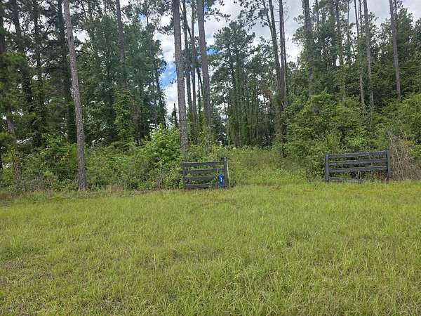1 Acre of Residential Land for Sale in Georgetown, Georgia