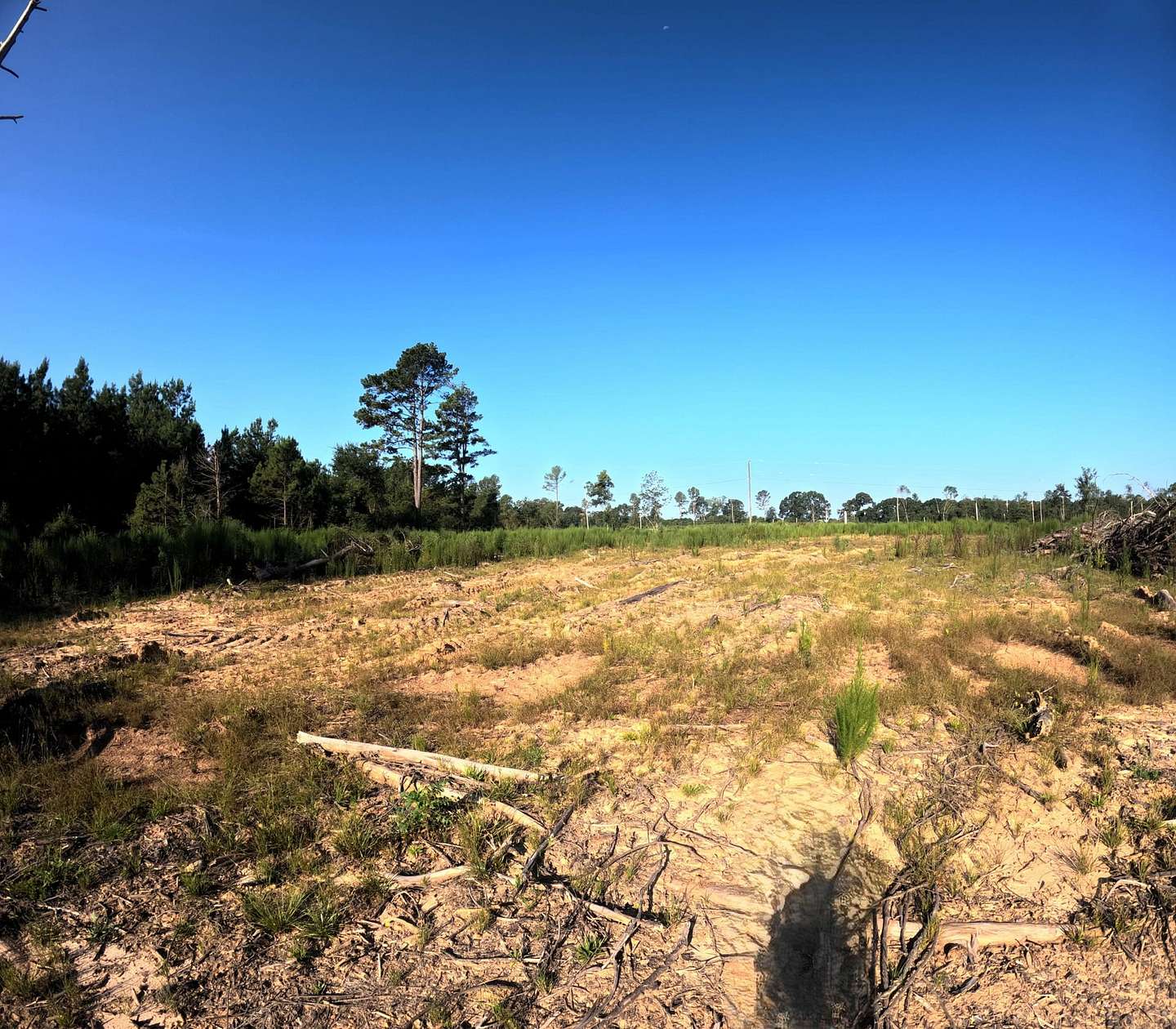 21.2 Acres of Land for Sale in Columbia, Mississippi