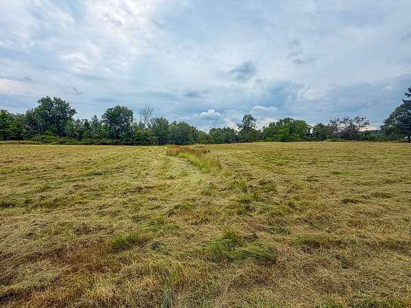 4 Acres of Land for Sale in Wadsworth, Ohio