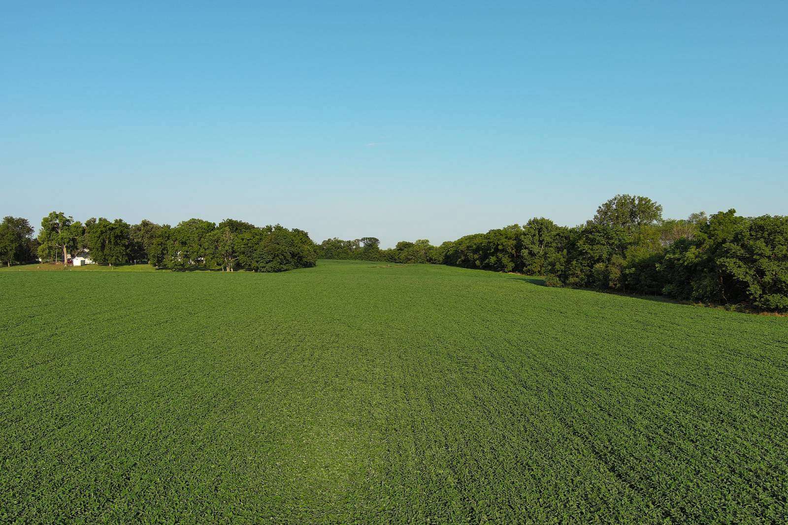 53.6 Acres of Land for Sale in Hillsdale, Illinois
