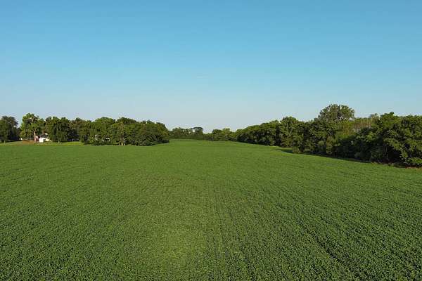 53.6 Acres of Land for Sale in Hillsdale, Illinois