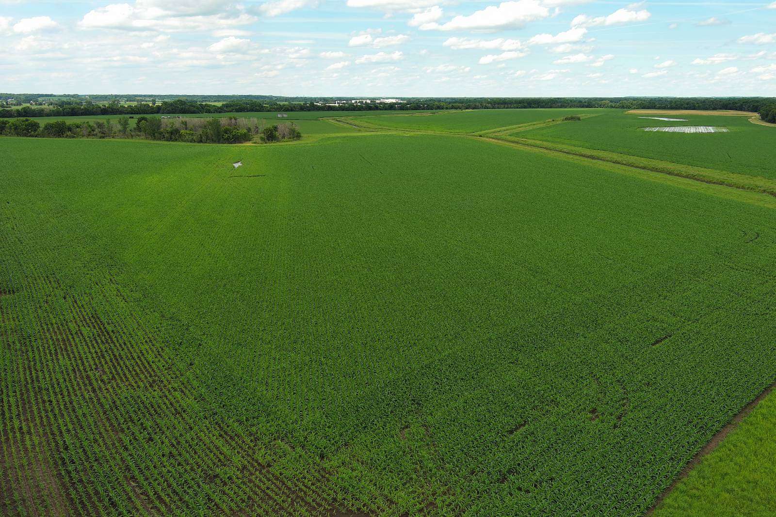 570 Acres of Land for Sale in Hillsdale, Illinois