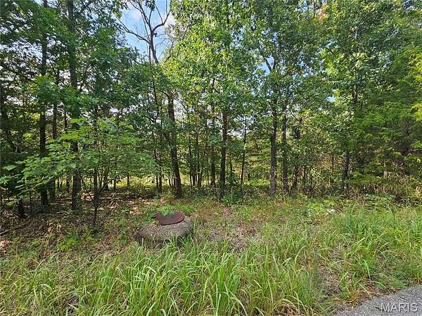0.22 Acres of Residential Land for Sale in Hillsboro, Missouri