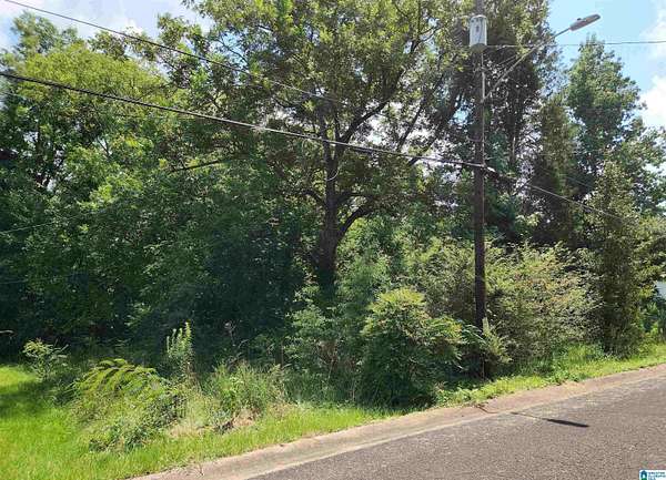0.35 Acres of Residential Land for Sale in Mulga, Alabama