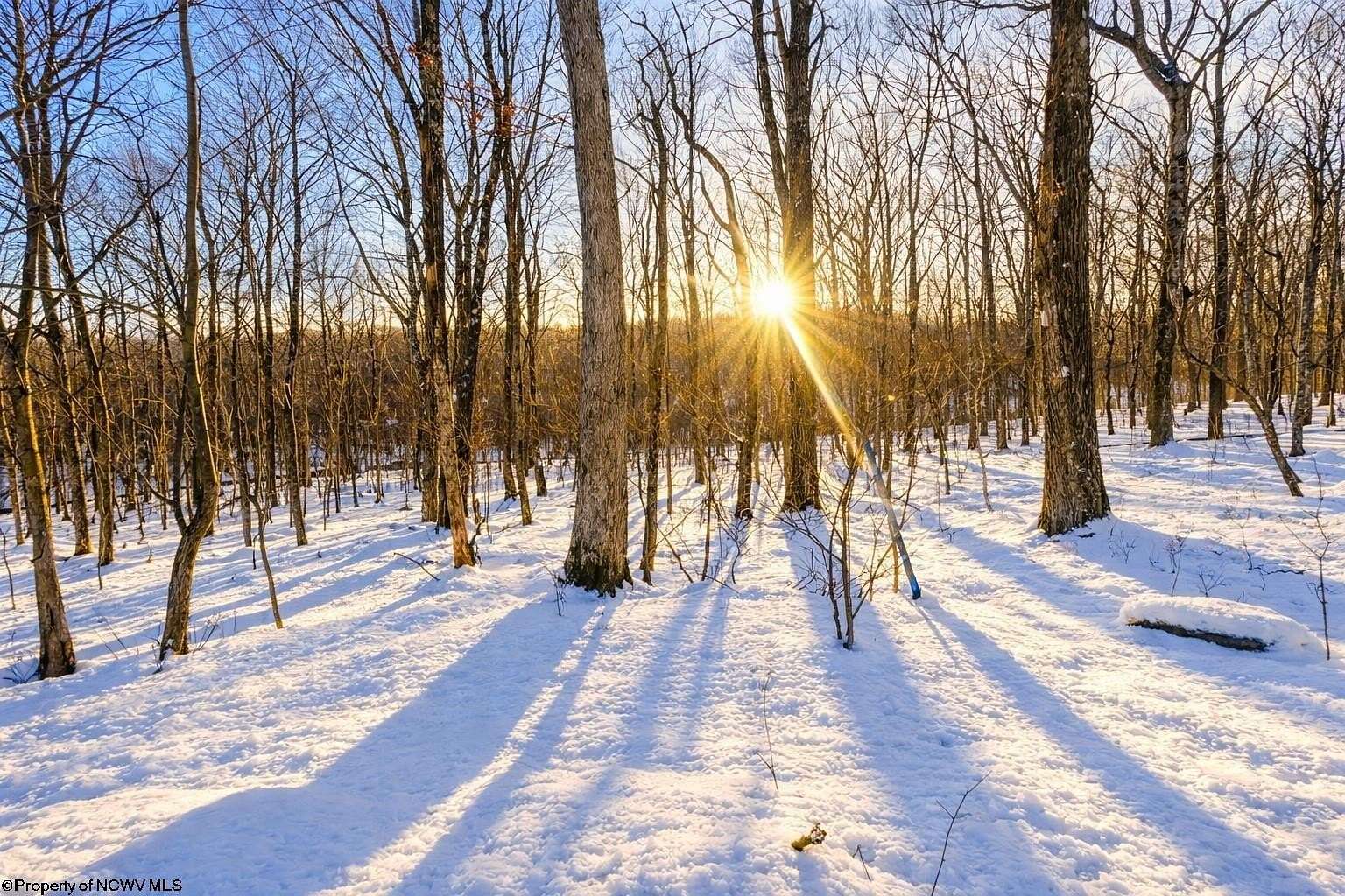 0.43 Acres of Residential Land for Sale in Terra Alta, West Virginia