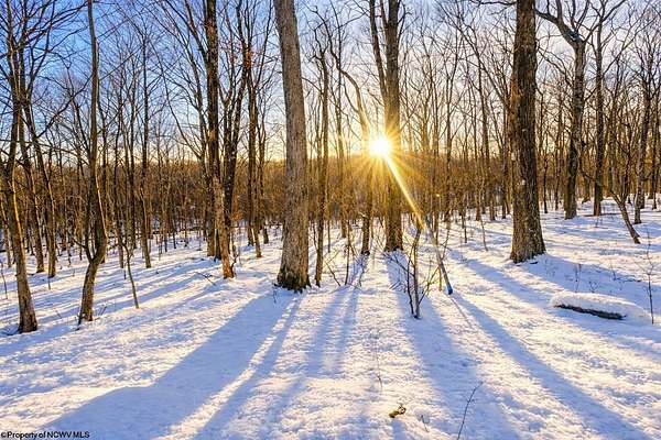 0.43 Acres of Residential Land for Sale in Terra Alta, West Virginia