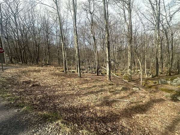 0.52 Acres of Residential Land for Sale in Terra Alta, West Virginia