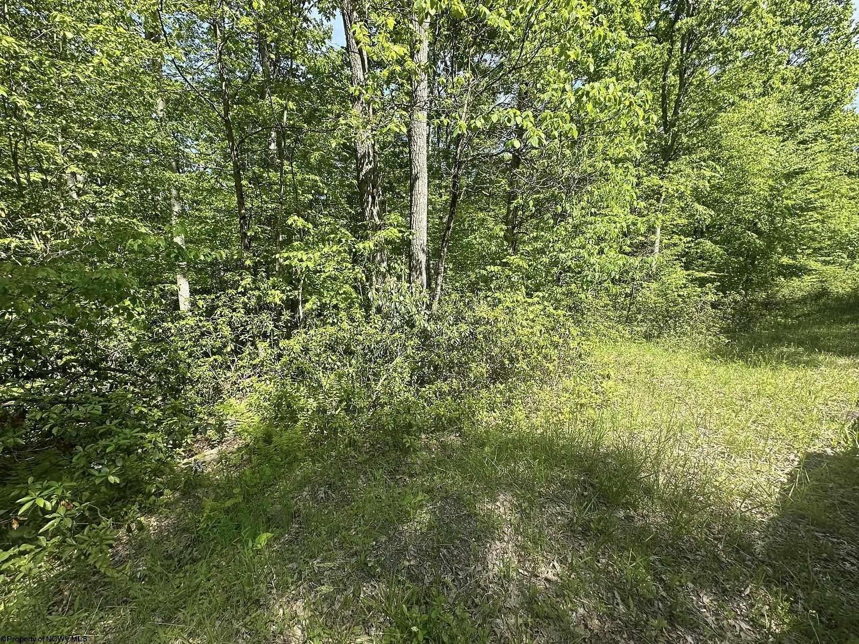 0.28 Acres of Residential Land for Sale in Terra Alta, West Virginia