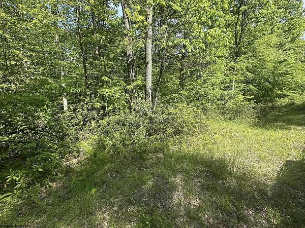 0.28 Acres of Residential Land for Sale in Terra Alta, West Virginia