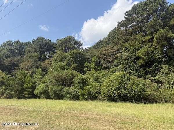 7.1 Acres of Commercial Land for Sale in Richland, Mississippi