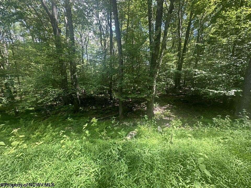 0.34 Acres of Residential Land for Sale in Terra Alta, West Virginia