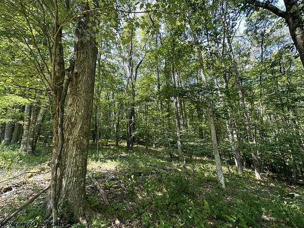 0.63 Acres of Residential Land for Sale in Terra Alta, West Virginia