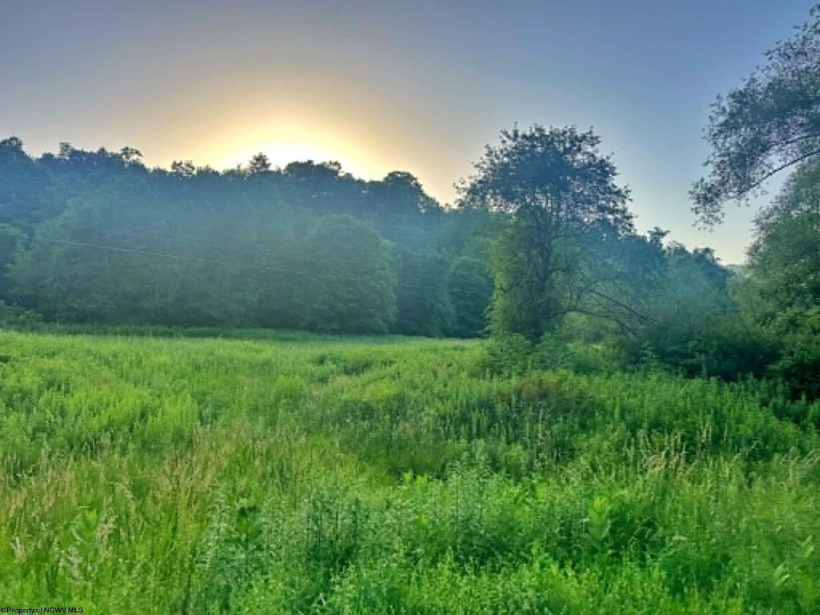 39 Acres of Recreational & Residential Land for Sale in Terra Alta, West Virginia