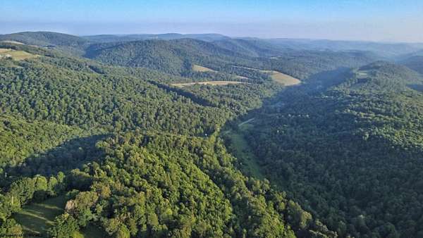 21.3 Acres of Recreational & Residential Land for Sale in Terra Alta, West Virginia
