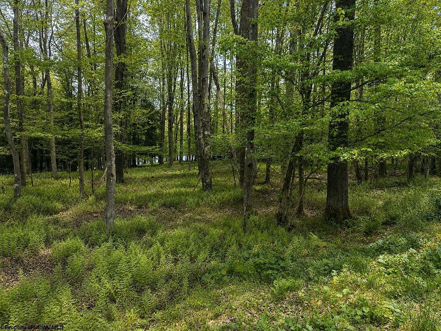 0.6 Acres of Residential Land for Sale in Terra Alta, West Virginia