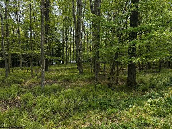 0.6 Acres of Residential Land for Sale in Terra Alta, West Virginia