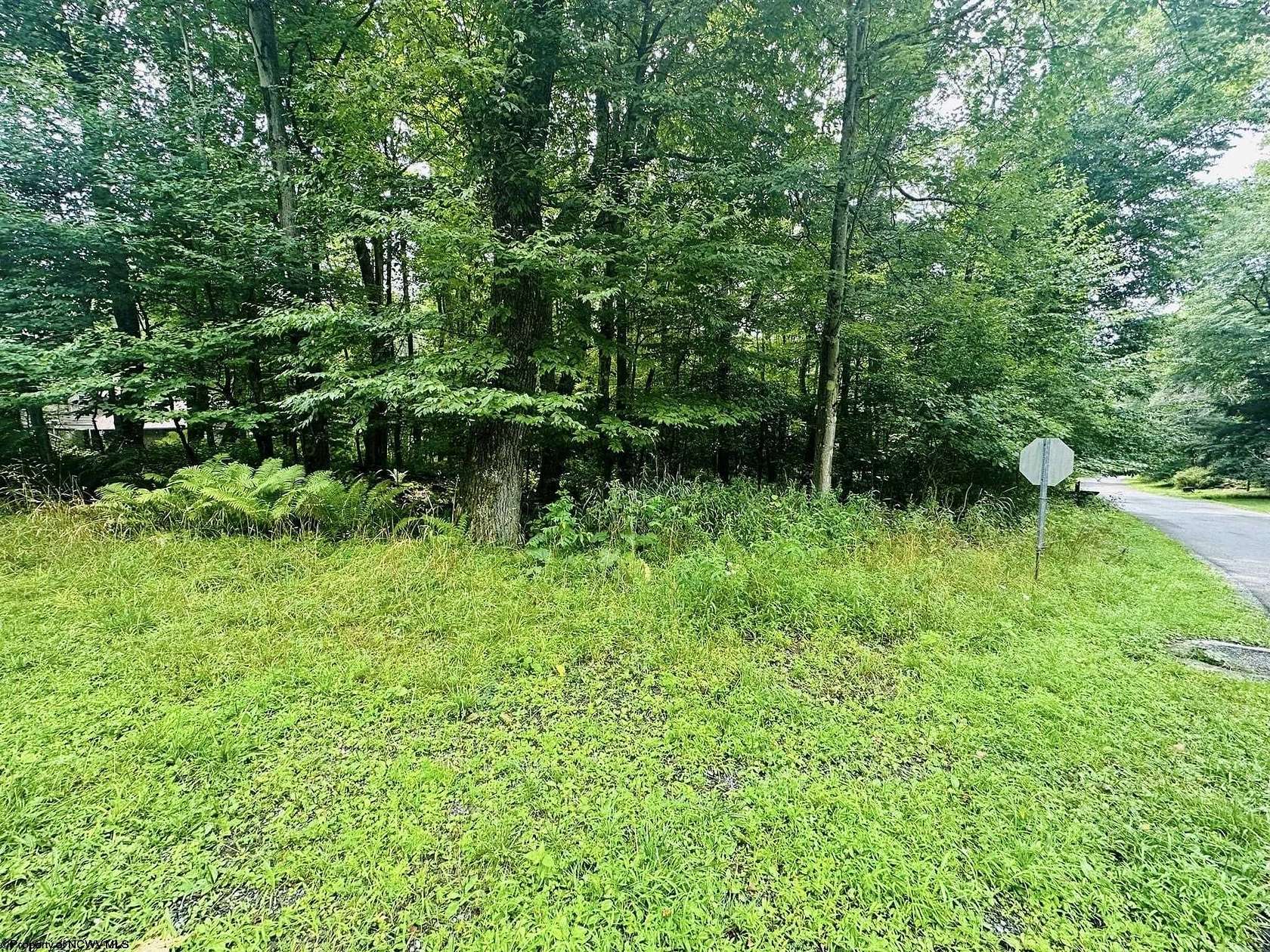 0.26 Acres of Residential Land for Sale in Terra Alta, West Virginia