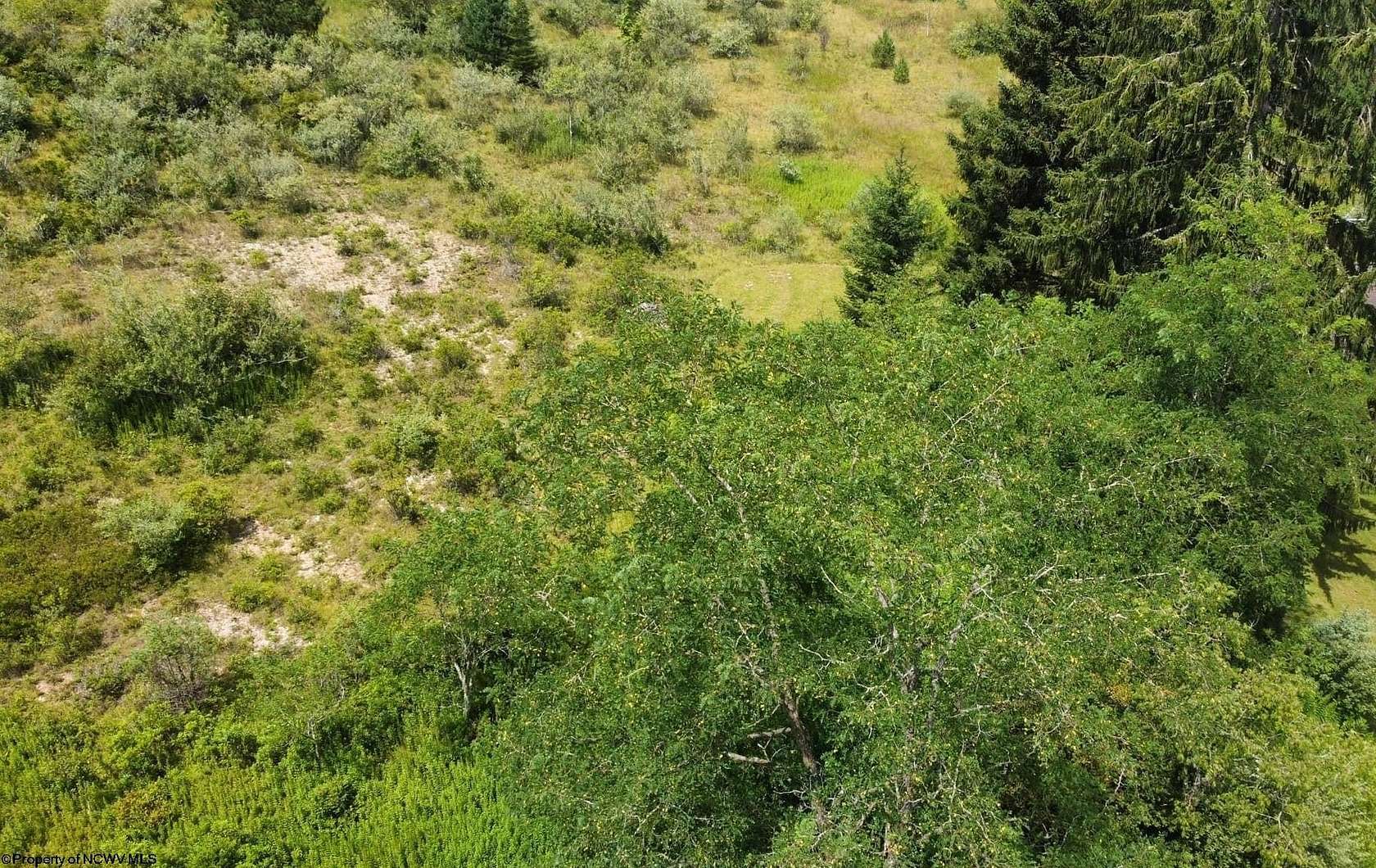 0.46 Acres of Residential Land for Sale in Terra Alta, West Virginia