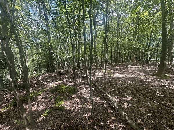 0.41 Acres of Residential Land for Sale in Terra Alta, West Virginia