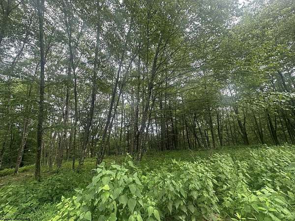 0.35 Acres of Residential Land for Sale in Terra Alta, West Virginia