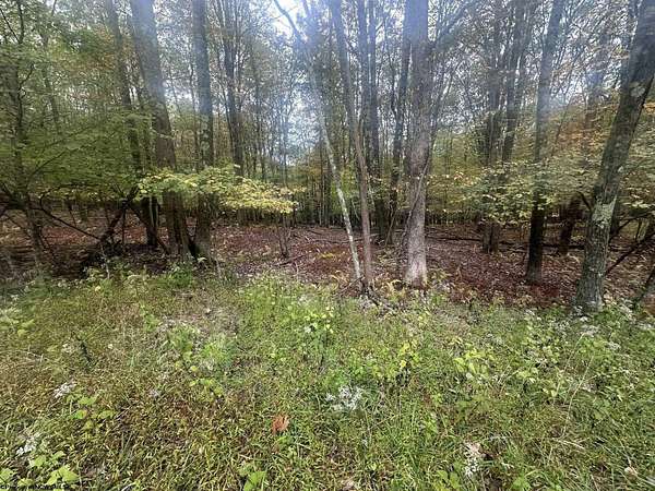 0.83 Acres of Residential Land for Sale in Terra Alta, West Virginia