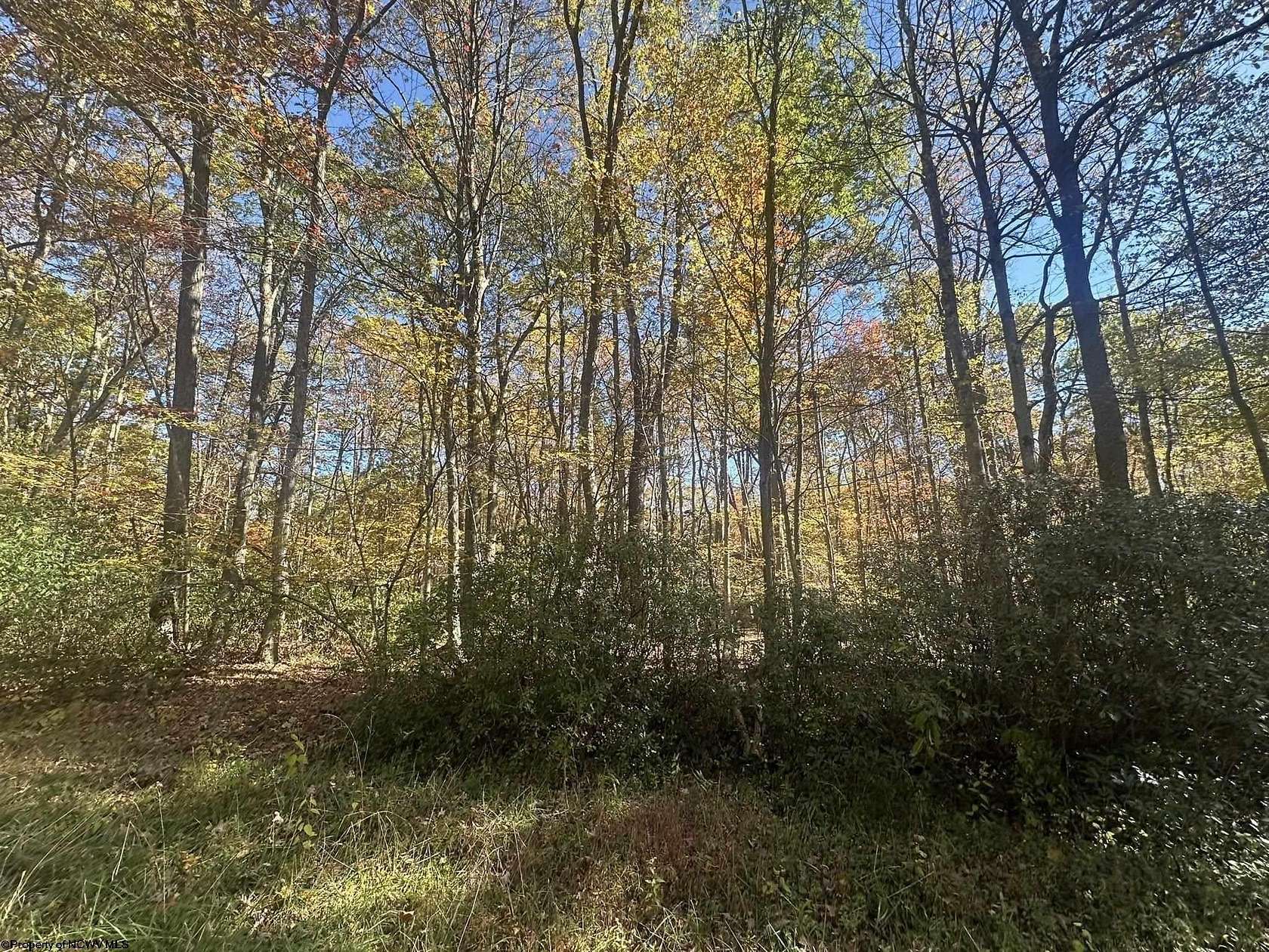0.24 Acres of Residential Land for Sale in Terra Alta, West Virginia