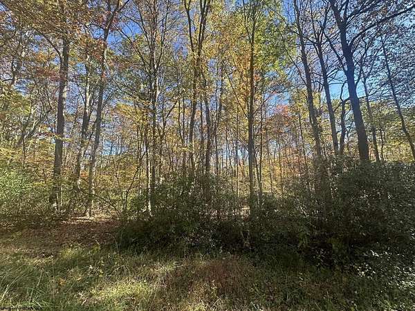 0.24 Acres of Residential Land for Sale in Terra Alta, West Virginia