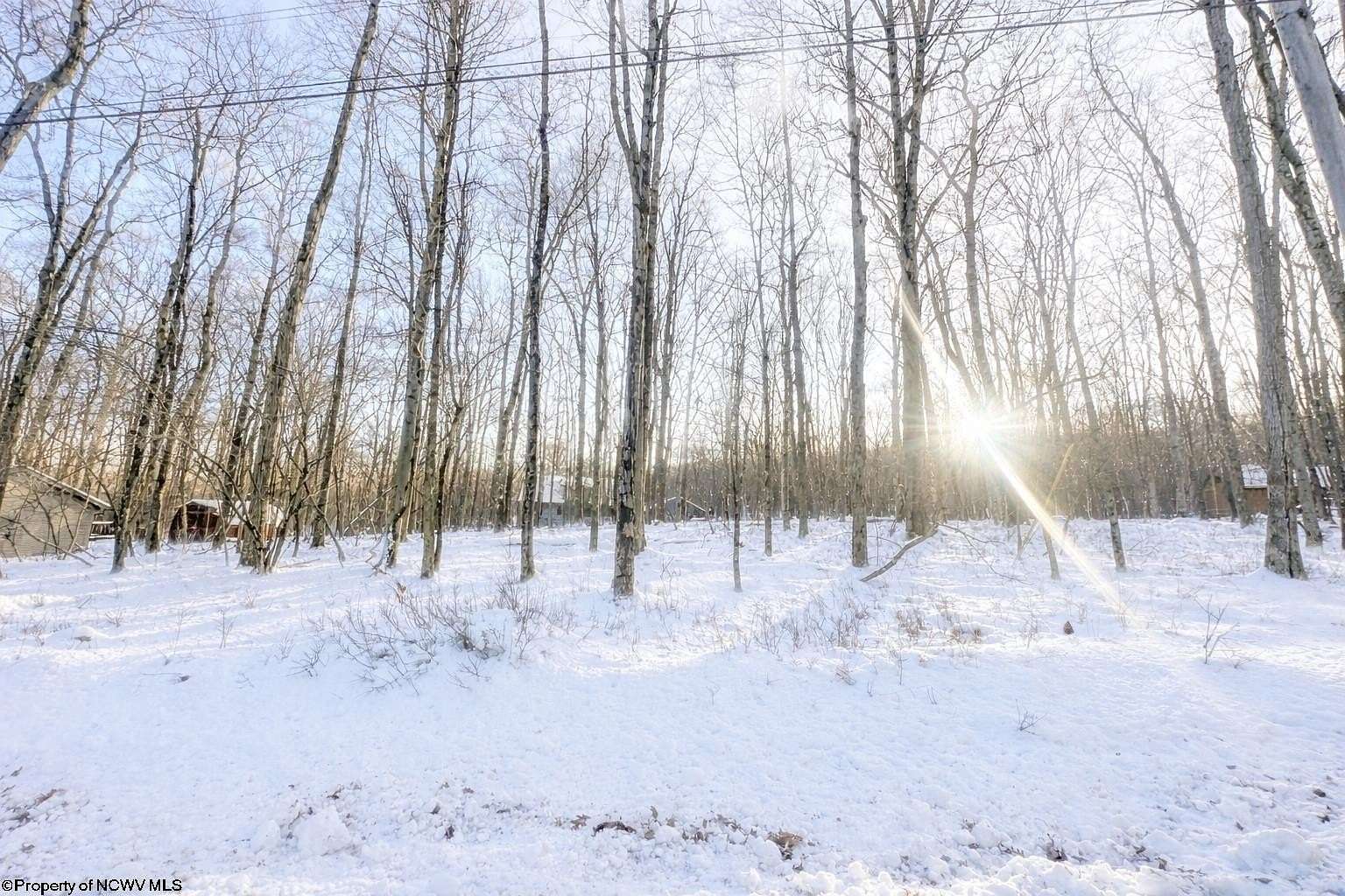 0.34 Acres of Residential Land for Sale in Terra Alta, West Virginia