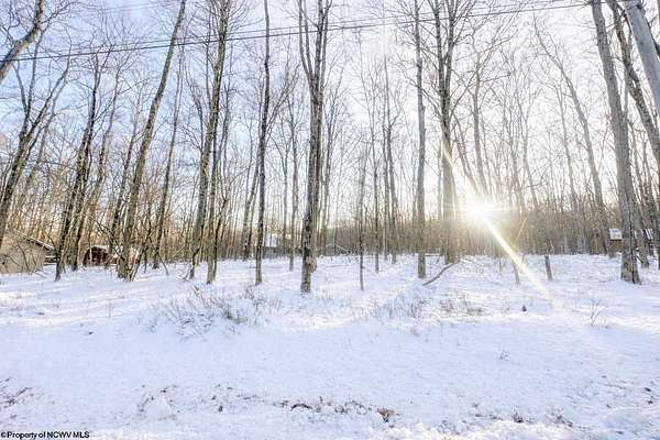 0.34 Acres of Residential Land for Sale in Terra Alta, West Virginia