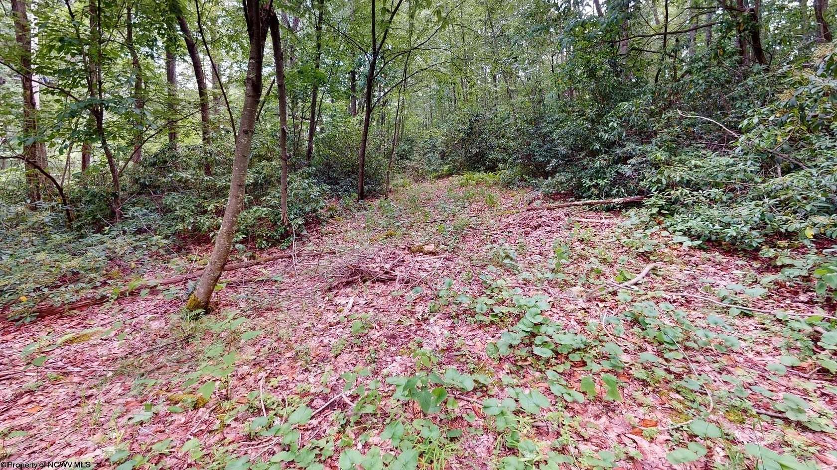 0.3 Acres of Residential Land for Sale in Terra Alta, West Virginia