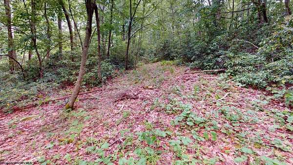 0.3 Acres of Residential Land for Sale in Terra Alta, West Virginia