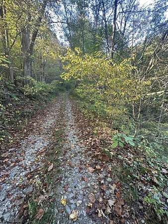 1.32 Acres of Land for Sale in Rowlesburg, West Virginia