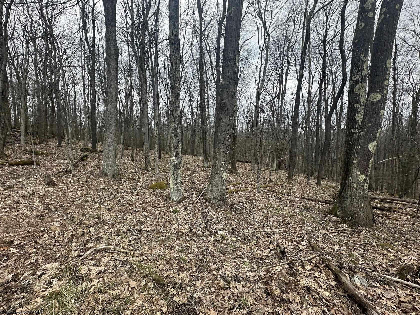 0.6 Acres of Residential Land for Sale in Terra Alta, West Virginia