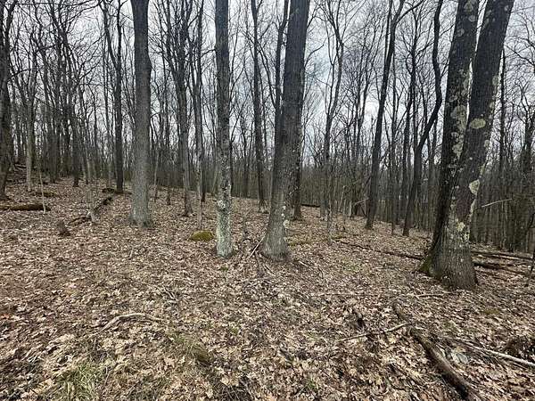 0.6 Acres of Residential Land for Sale in Terra Alta, West Virginia