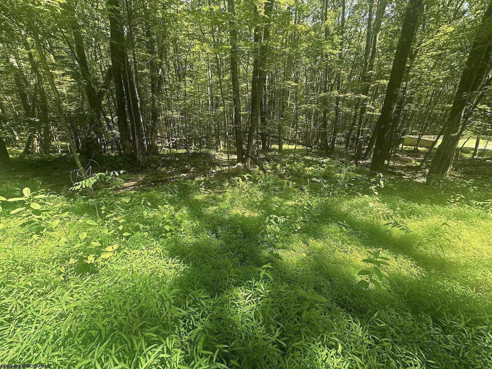 0.39 Acres of Residential Land for Sale in Terra Alta, West Virginia