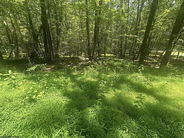 0.39 Acres of Residential Land for Sale in Terra Alta, West Virginia