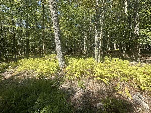 0.43 Acres of Residential Land for Sale in Terra Alta, West Virginia