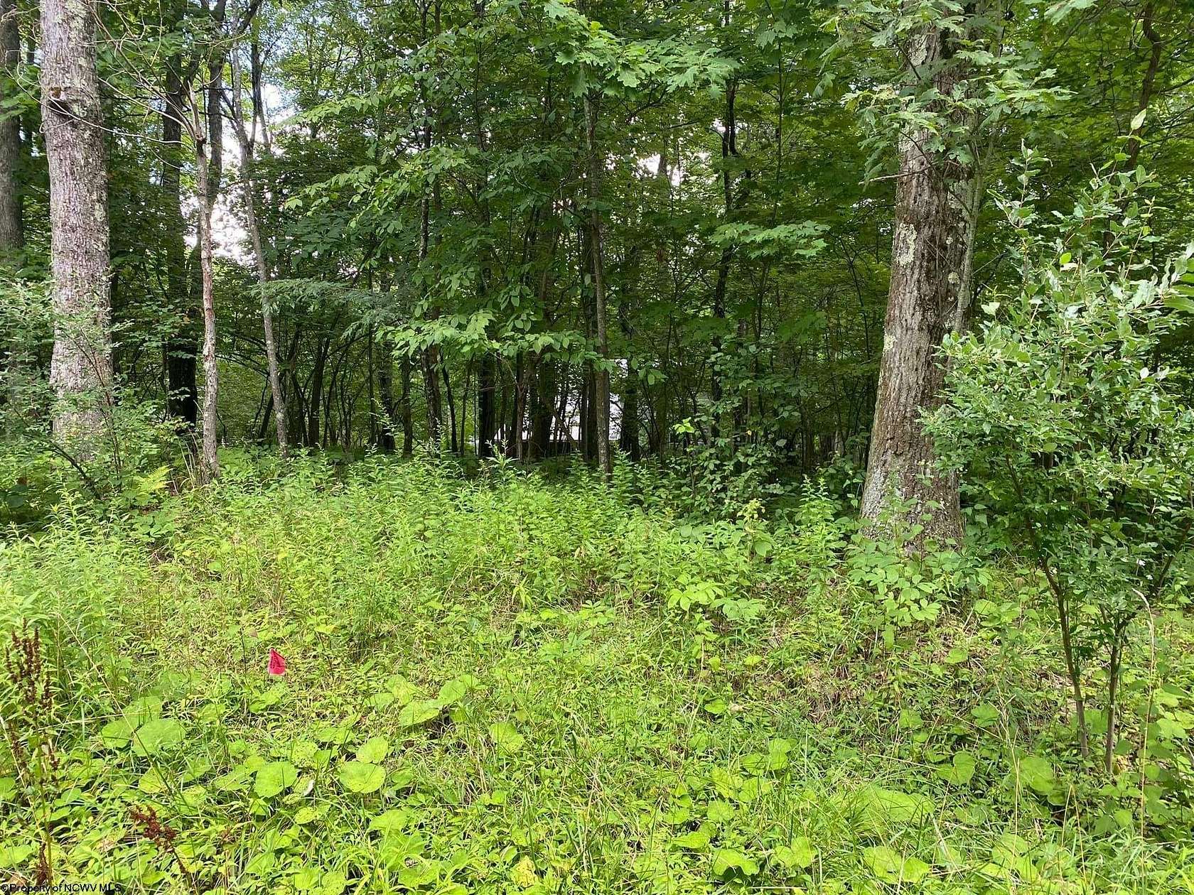 0.27 Acres of Residential Land for Sale in Terra Alta, West Virginia