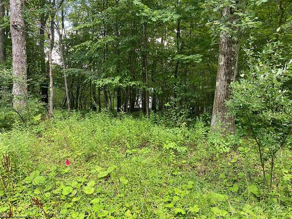 0.27 Acres of Residential Land for Sale in Terra Alta, West Virginia