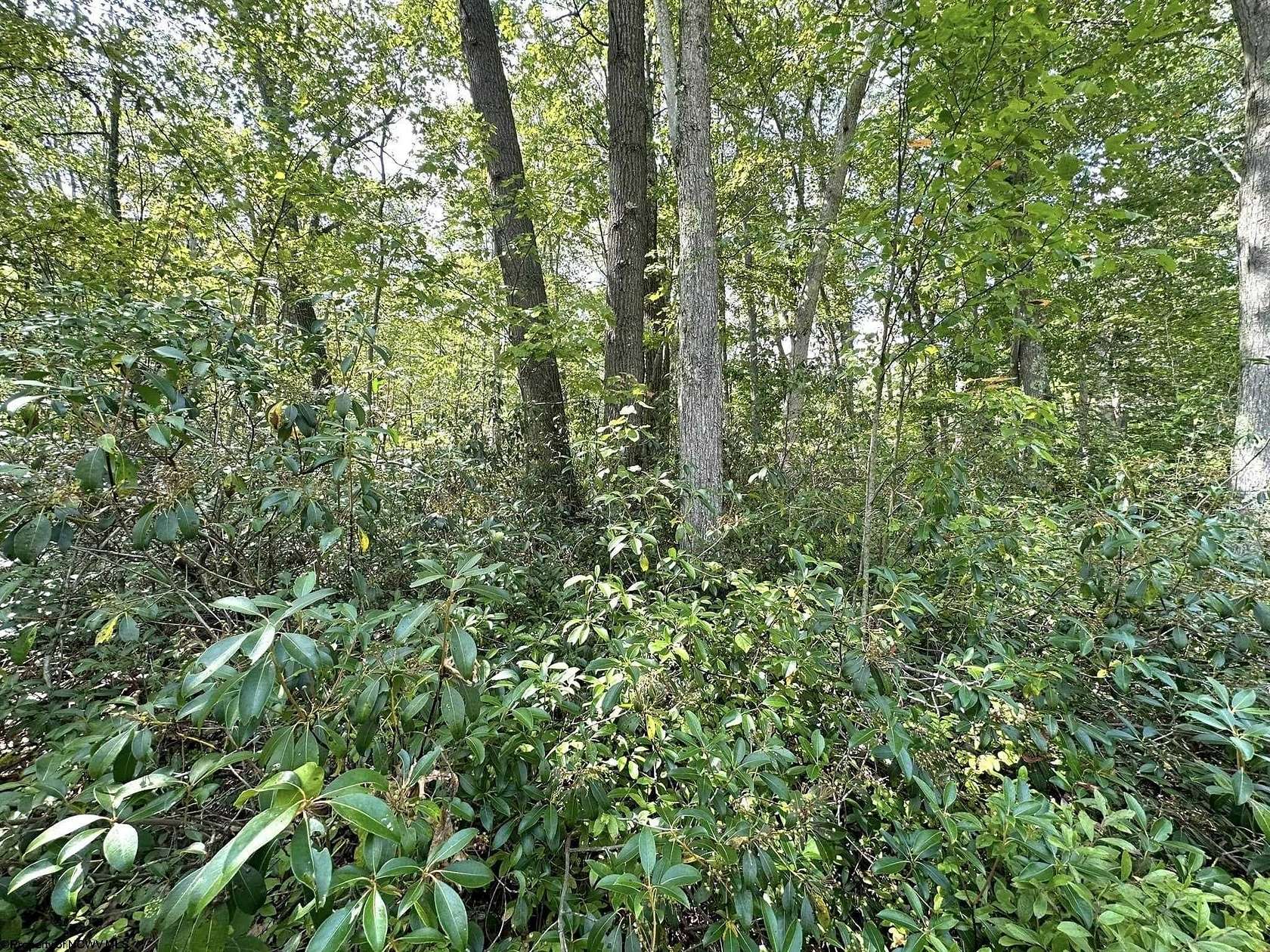 0.27 Acres of Residential Land for Sale in Terra Alta, West Virginia