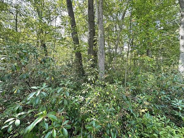 0.27 Acres of Residential Land for Sale in Terra Alta, West Virginia
