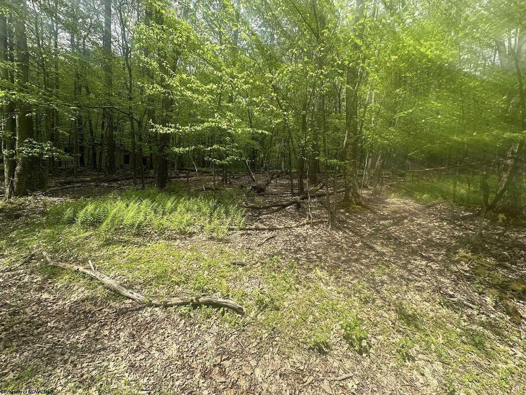 0.34 Acres of Residential Land for Sale in Terra Alta, West Virginia