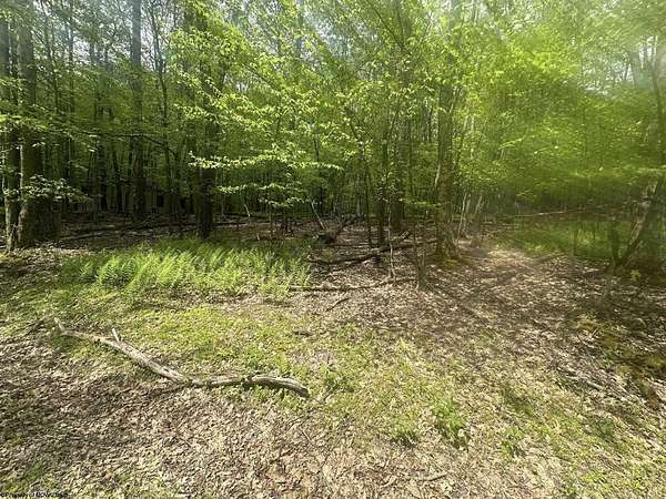 0.34 Acres of Residential Land for Sale in Terra Alta, West Virginia