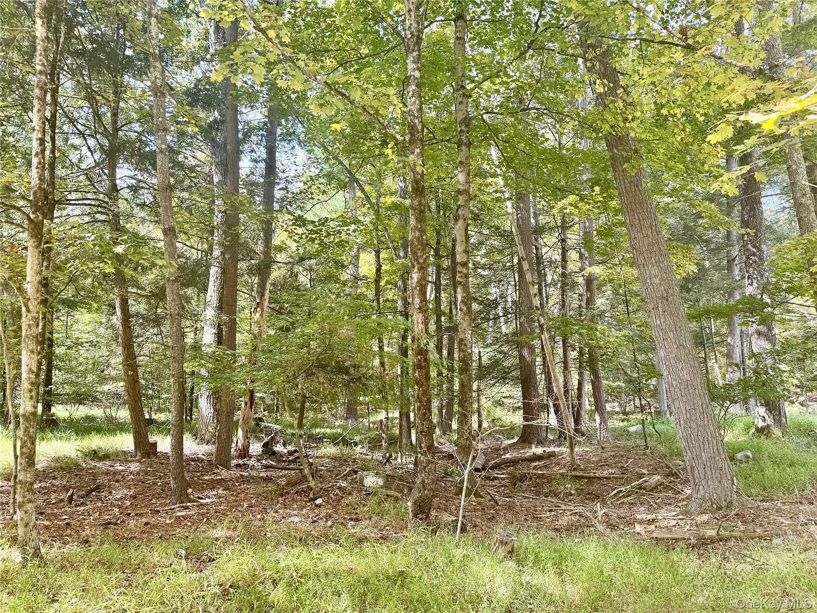 2 Acres of Land for Sale in Cuddebackville, New York
